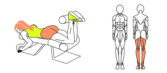 レッグカールでお尻と太ももの境目を作る。