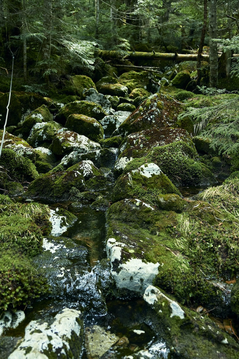 天狗岳
