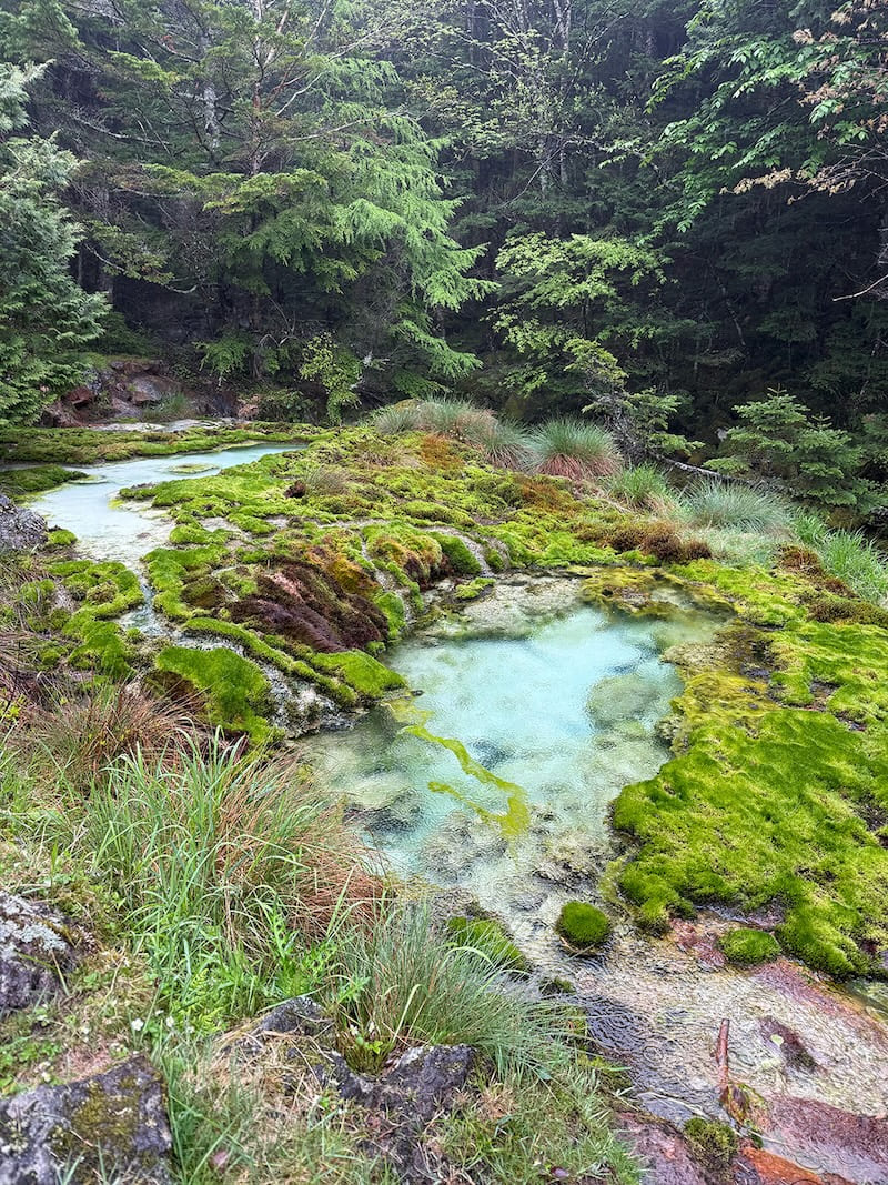 唐沢鉱泉の源泉池